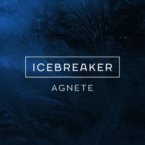 Icebreaker